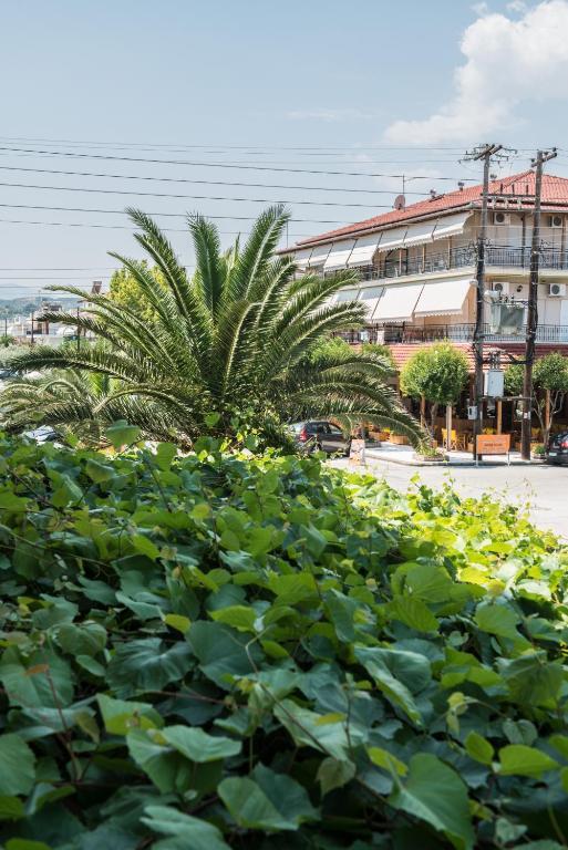 Hotel Alexandros Neoi Poroi Camera foto